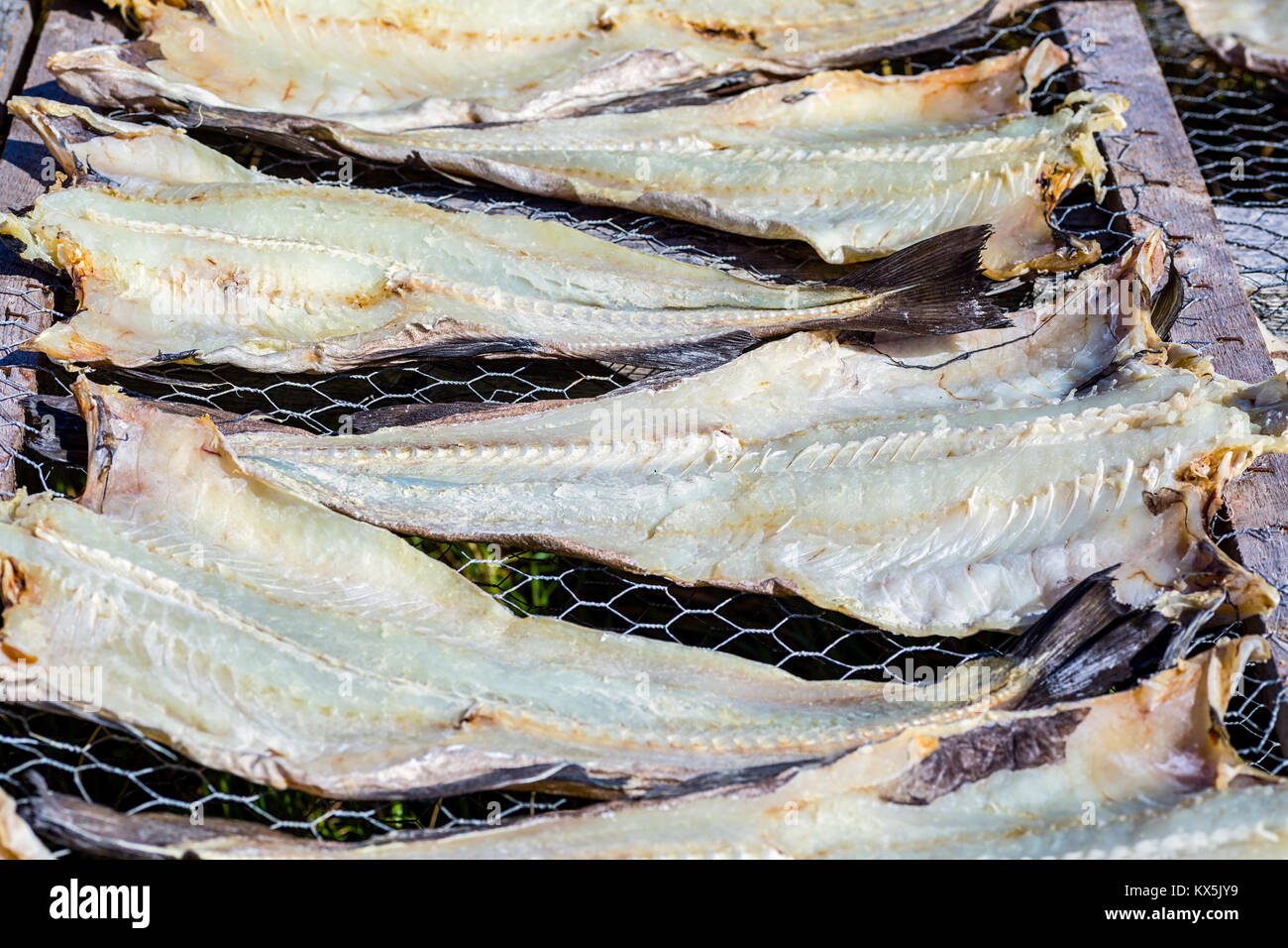 Salt cod drying newfoundland hires stock photography and images Alamy