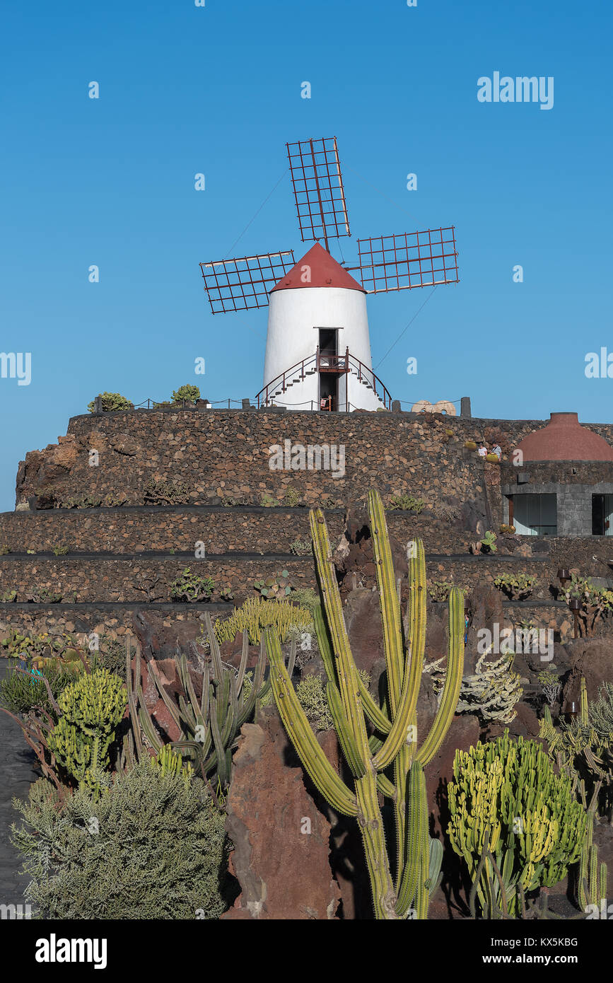 Windmühle auf einem Hügel im Kaktusgarten - gestaltet von César Manrique -  in Guatiza auf Lanzarote Stock Photo