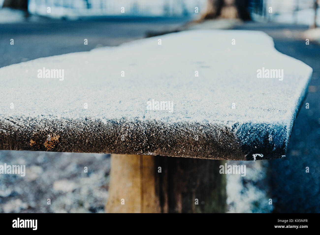Ice Topped Bench, Pollok Park. Glasgow, Scotland. Stock Photo