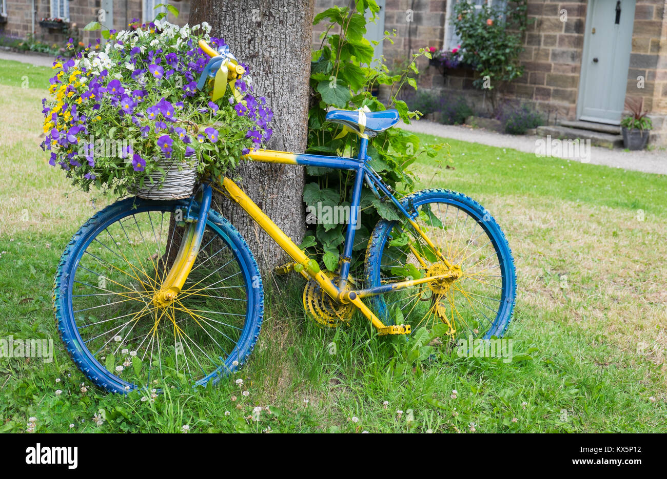 Blue & yellow bicycle Stock Photo - Alamy