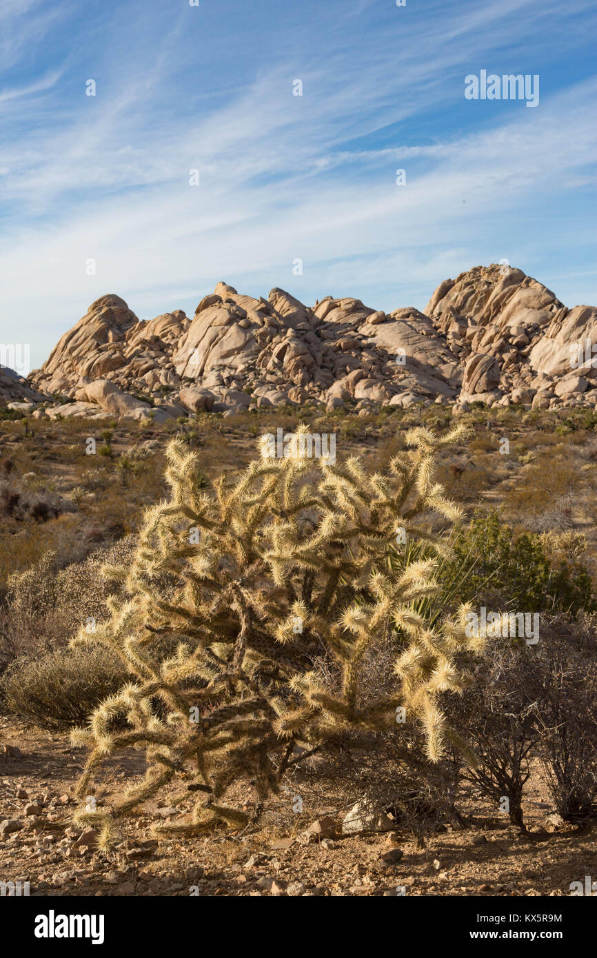 Mojave national preserve Stock Photo Alamy