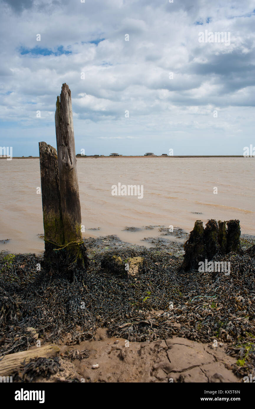 Rotted pilings, pagodas, Orford Ness Stock Photo