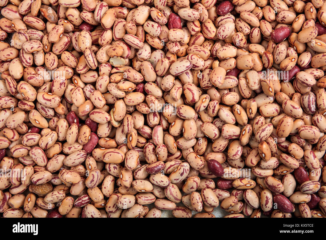 Red kidney beans pinto hires stock photography and images Alamy