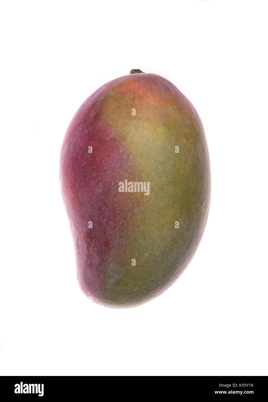 Mango fruit isolated over white background Stock Photo - Alamy