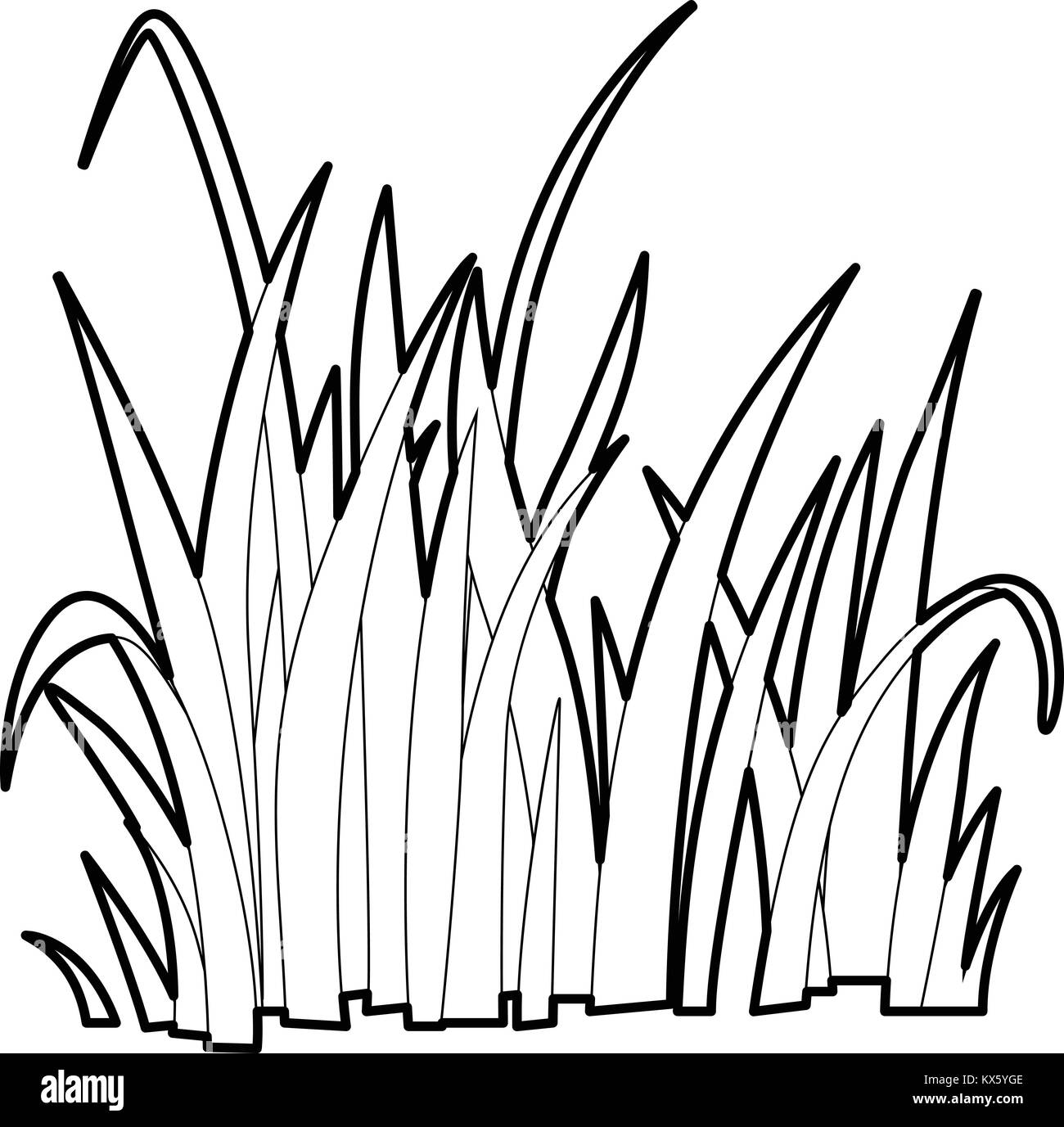 Grass icon, outline style Stock Vector Image & Art Alamy