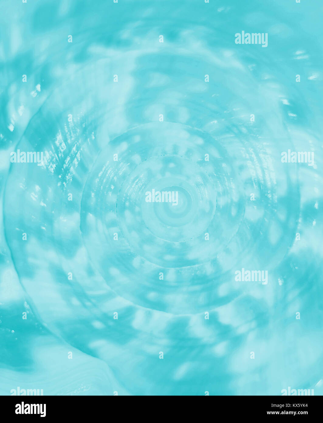 Closed Up Spiral and Texture of King Helmet Conch Sea Shell in Ice Blue