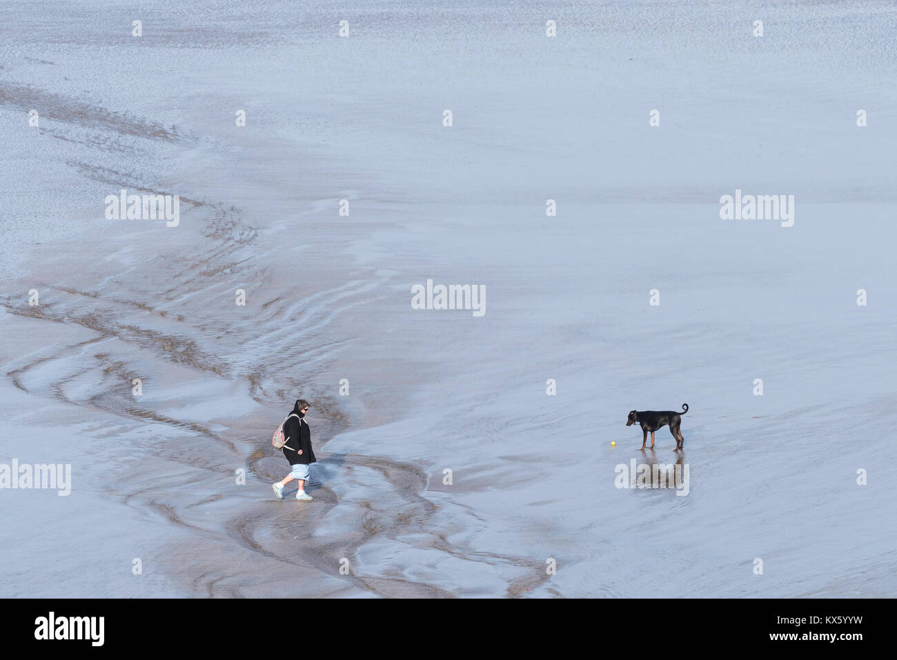 Dog walking - a woman and her dog walking across a beach at low tide in Newquay Cornwall. Stock Photo