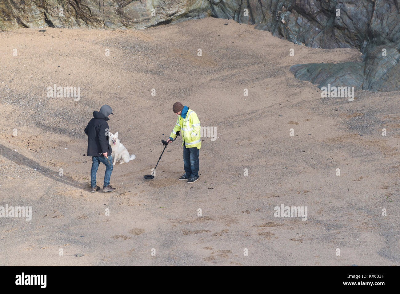 Metal detectorists and a dog on a beach in Newquay Cornwall Stock Photo Alamy