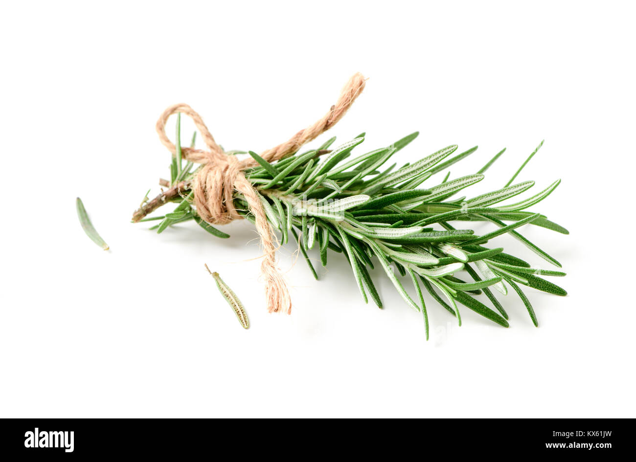 rosemary isolated on white background, Spices for cook food Stock Photo