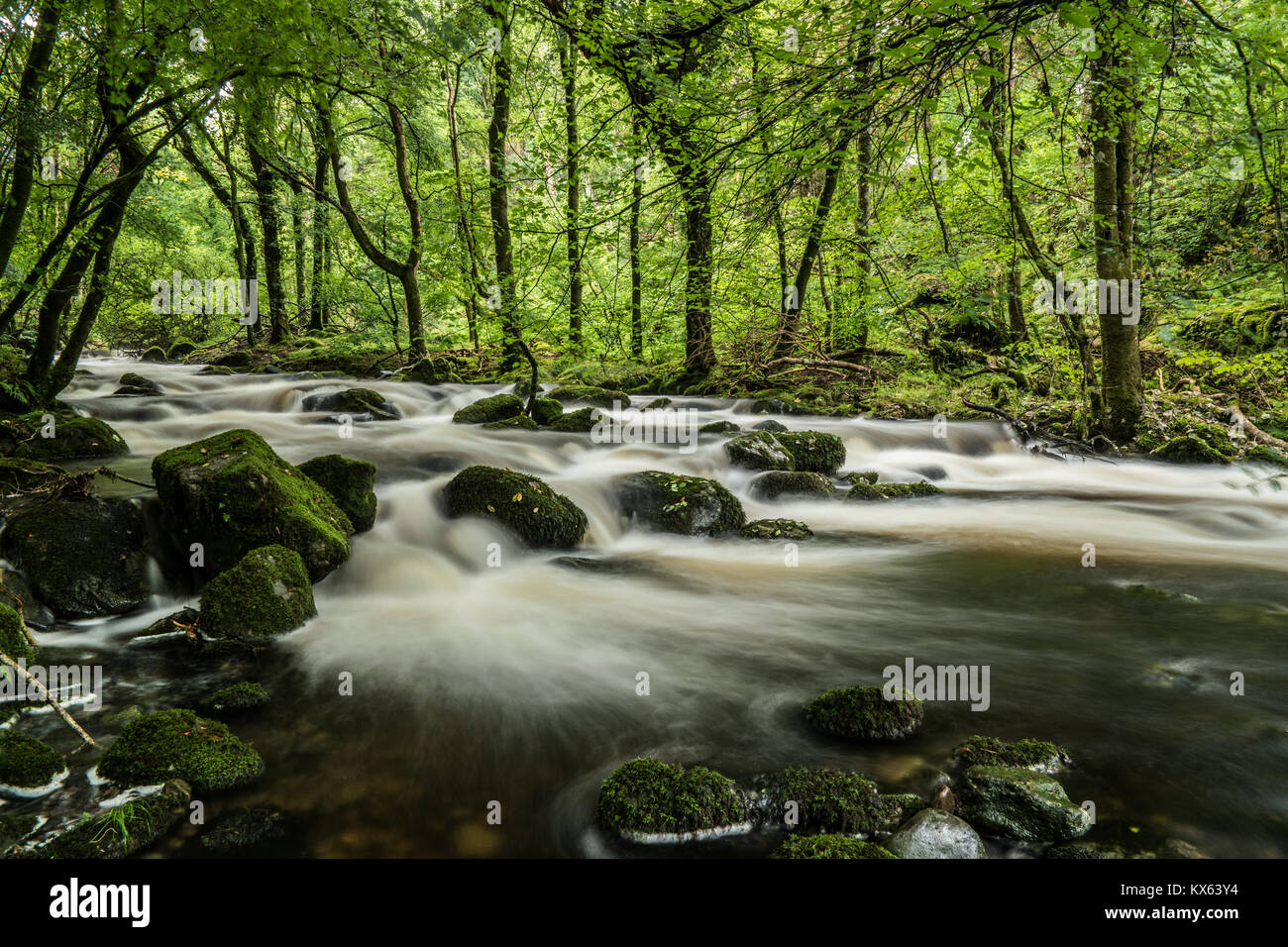 Fast flowing white water hi-res stock photography and images - Alamy