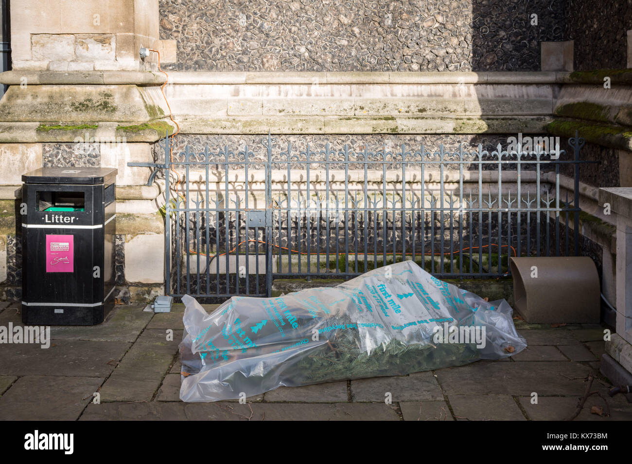 Dead christmas tree hires stock photography and images Alamy