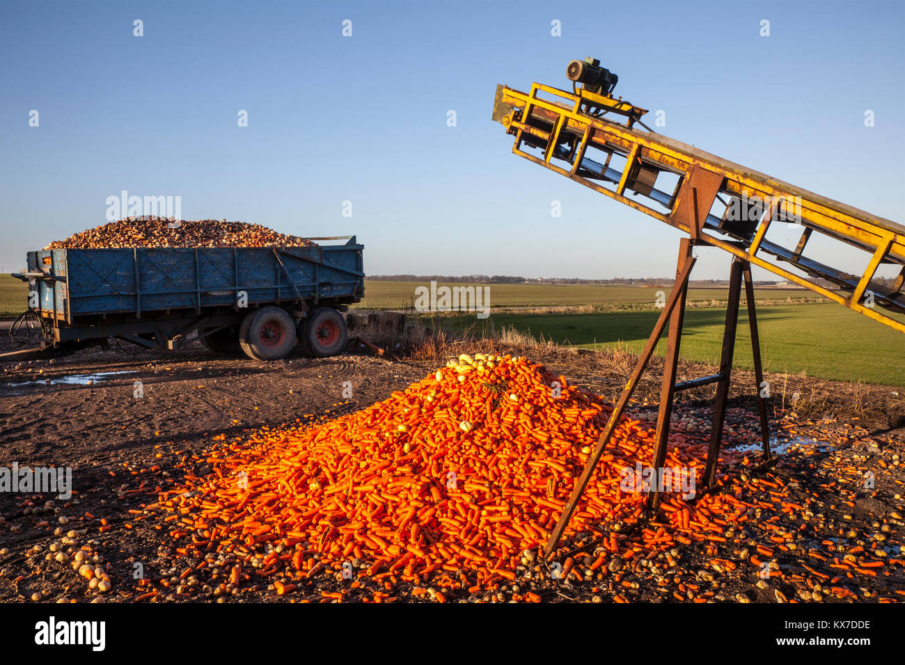 Food Waste Mountain Uk High Resolution Stock Photography and Images - Alamy