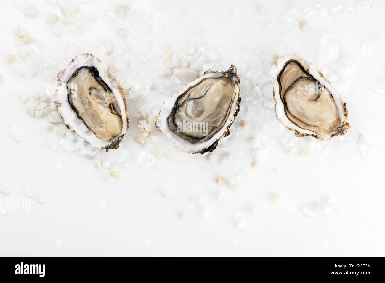 Overhead photo of three oysters with copy space Stock Photo