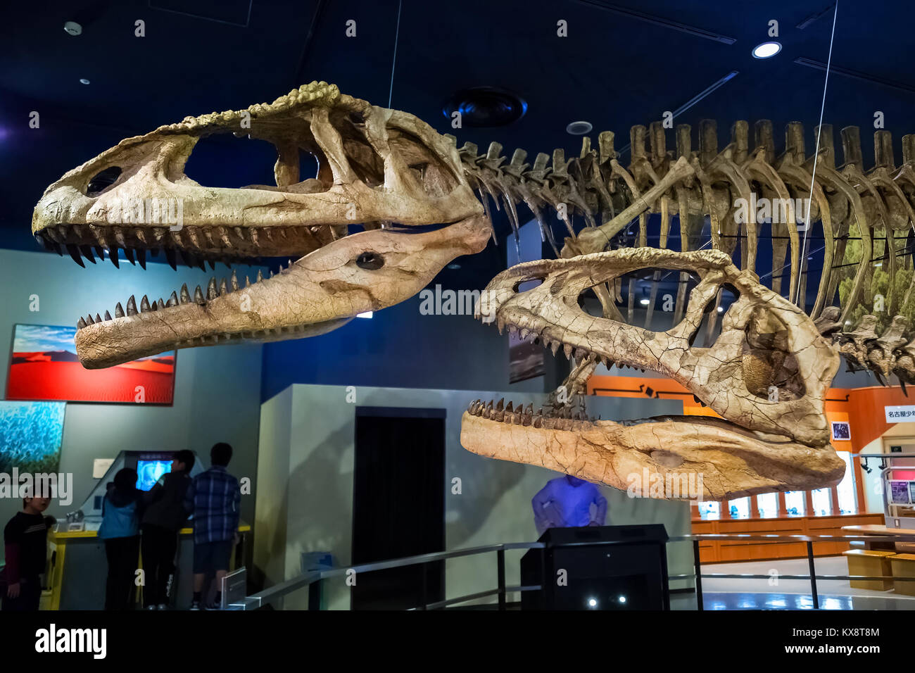 NAGOYA, JAPAN - NOVEMBER 18, 2015: Dinosaur skeletons displayed at the first floor of Nagoya City Science Museum, the exhibition room is one of the mo Stock Photo