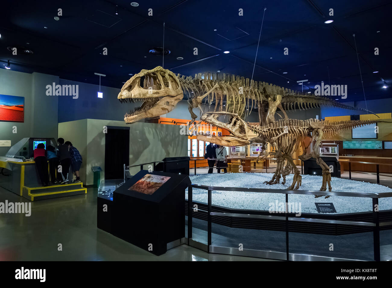 NAGOYA, JAPAN - NOVEMBER 18, 2015: Dinosaur skeletons displayed at the first floor of Nagoya City Science Museum, the exhibition room is one of the mo Stock Photo