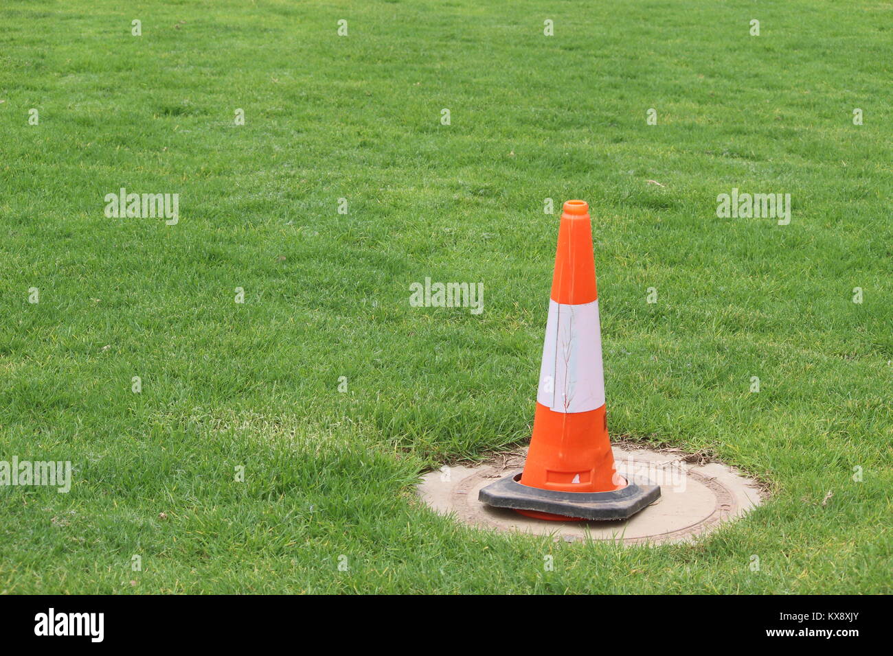 Traffic cone in grassy field Stock Photo