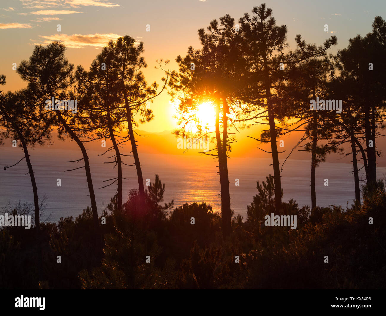 sunset between pines and mountains. Sun is reflecting in ocean's water Stock Photo