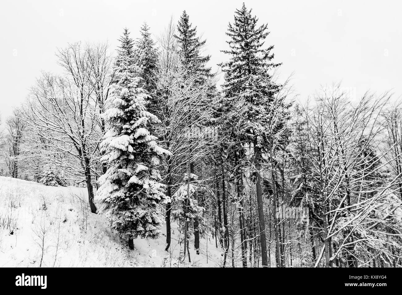 Landscape view on a Beskid mountains in Szczyrk covered in white snow Stock Photo