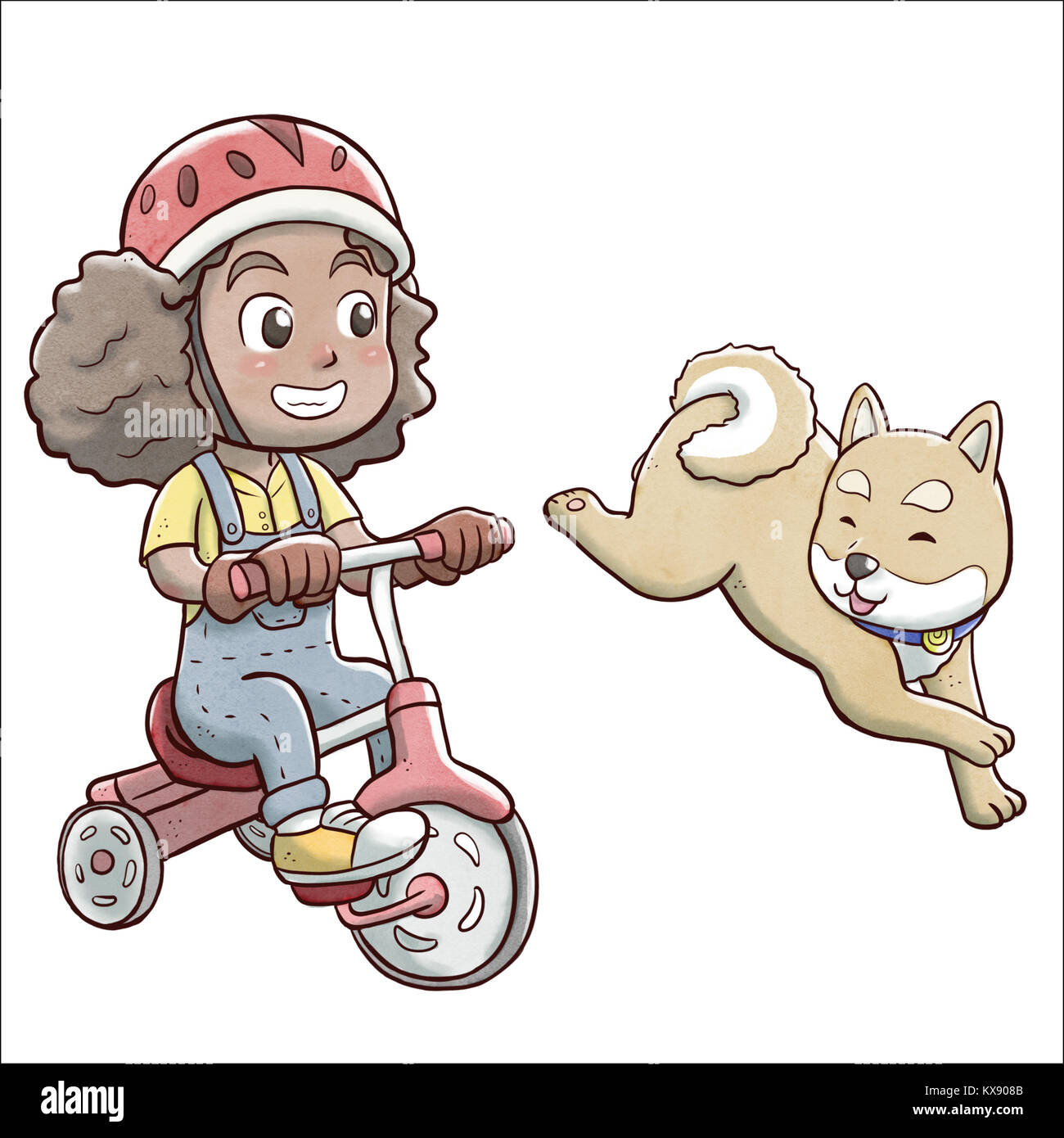 Girl riding a tricycle bike and followed by shiba dog - white background Stock Photo