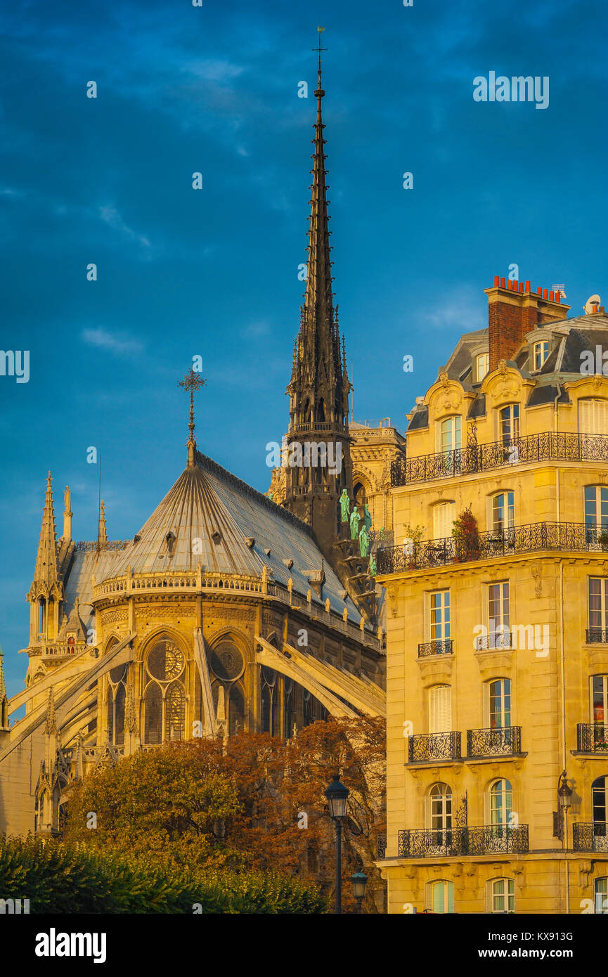 Notre Dame Paris, view at sunset of the spire and roof of Notre Dame
