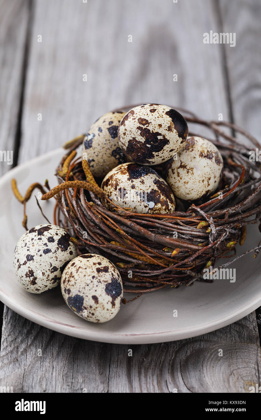 Quail eggs in the nest of birch branches. Fresh food on a wooden table Stock Photo