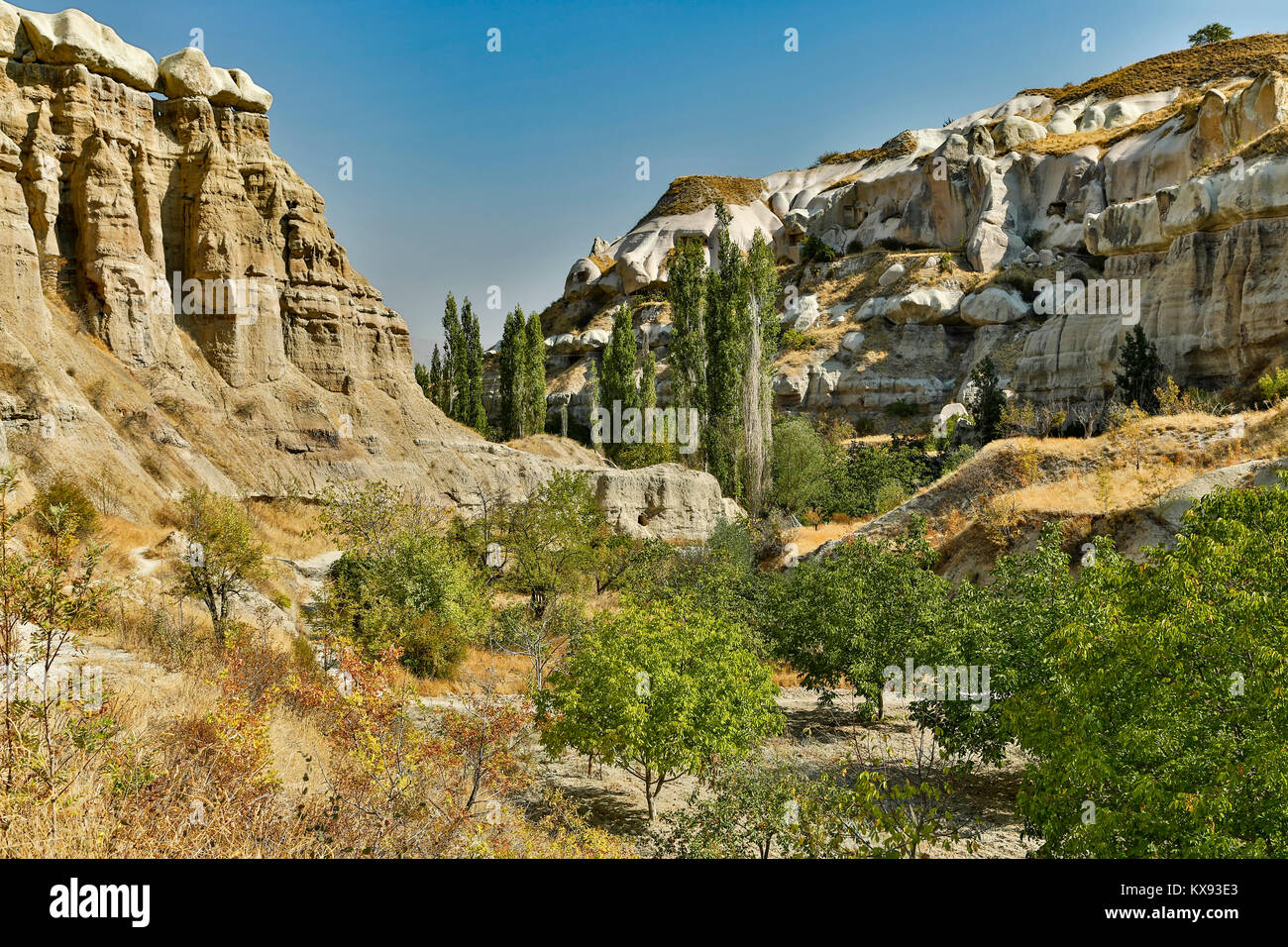 Rocky bluffs and valley, Pigeon Valley, near Uchisar, Cappadocia, Turkey Stock Photo