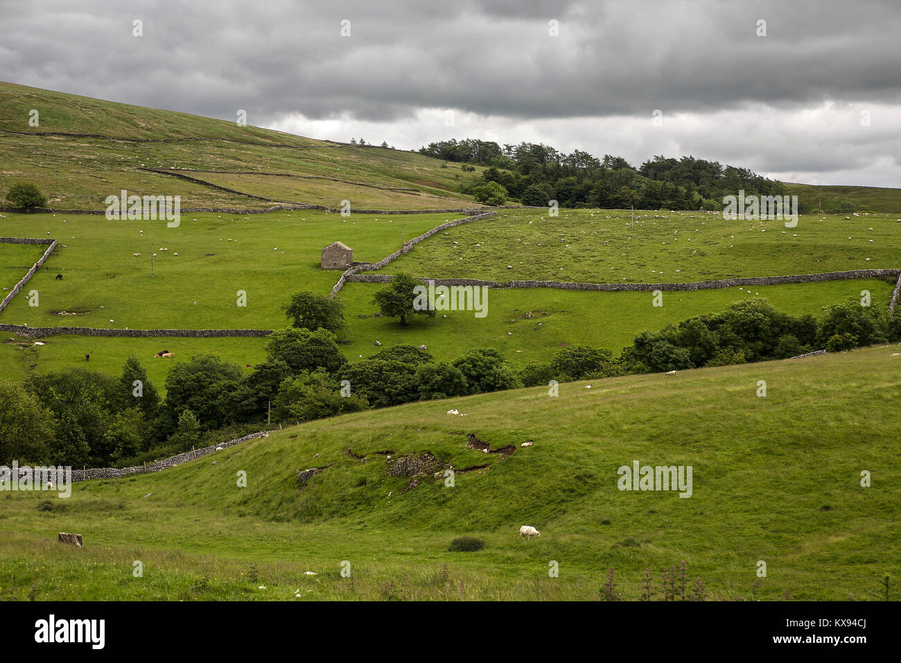 The Weets: fields with drystone walls near Gordale, North Yorkshire Stock Photo