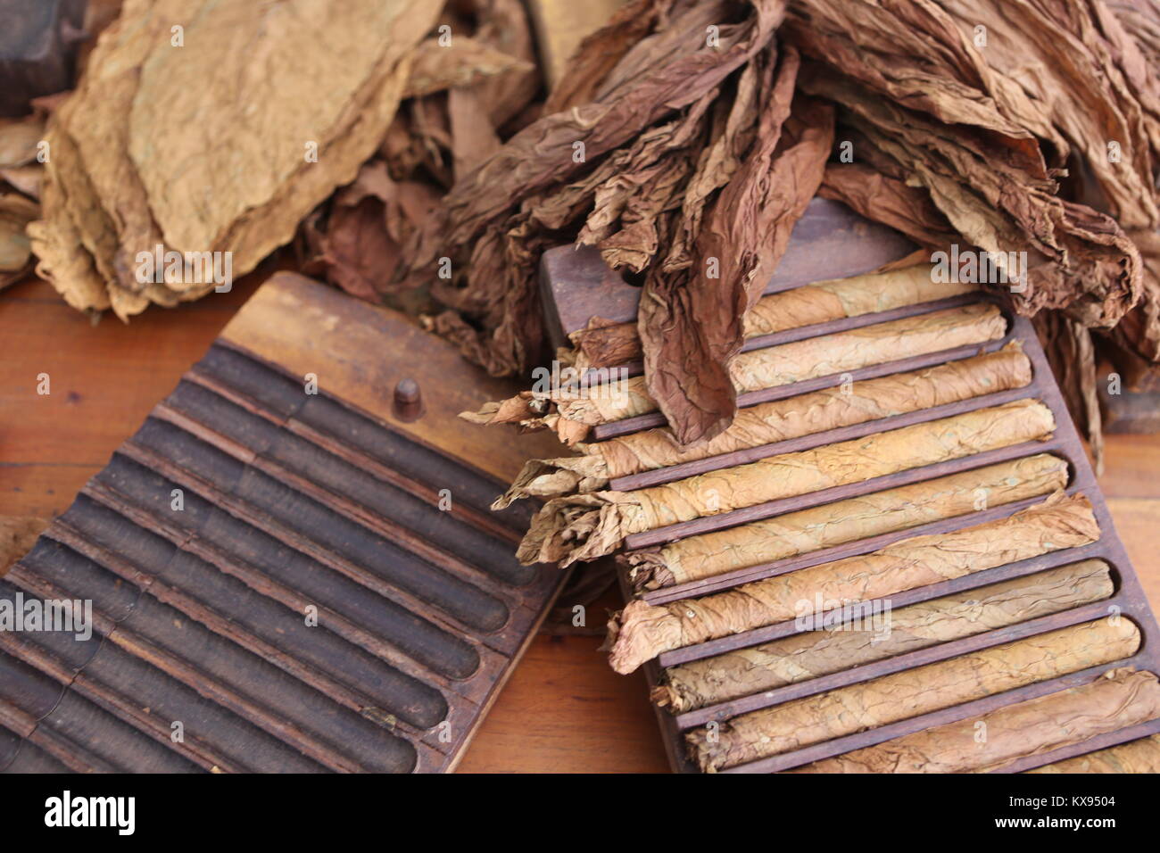 zigarren Herstellung in Cuba -Cigars manufacturing in Cuba Stock Photo