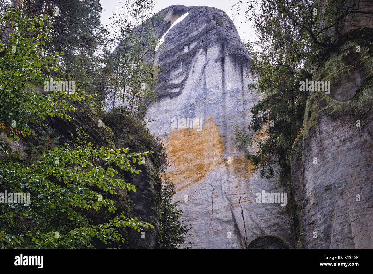 Pitche4r Rocks Rock formation called Pitcher in National Nature Reserve Adrspach ...