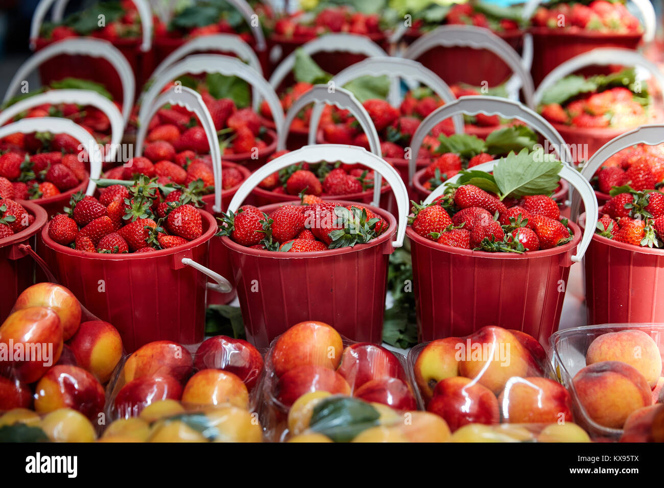 Strawberries in a bucket Stock Photo - Alamy