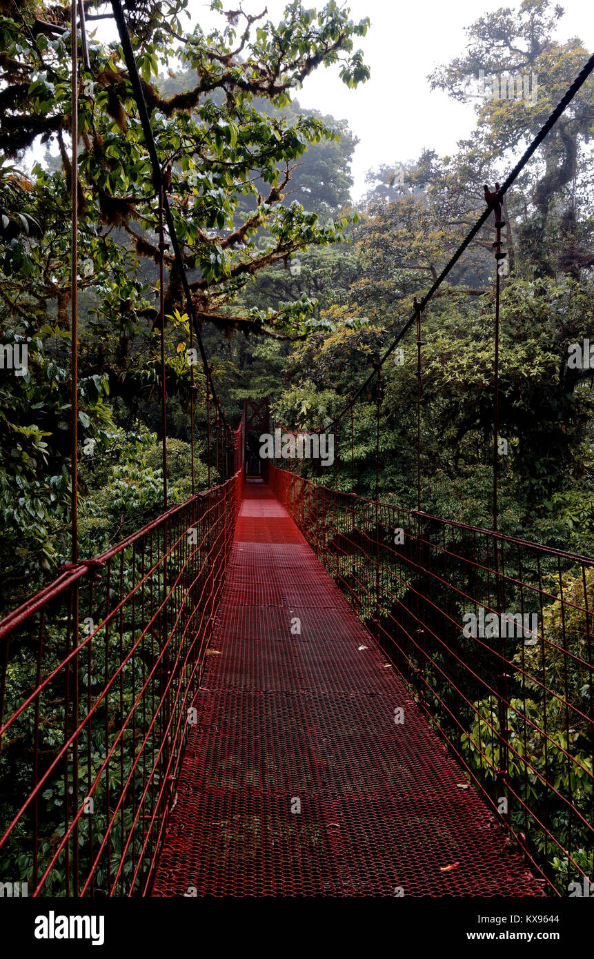 Hanging red suspension bridge canopy walk Monteverde Cloud forest Costa Rica Stock Photo