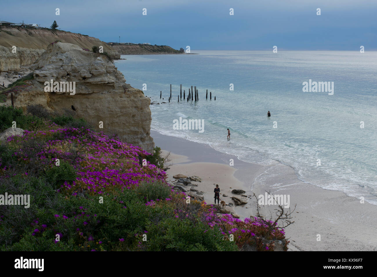 Port Willunga, South Australia, Australia - October 29, 2016: People swimming and a woman walking her dog on the beach at the jetty ruins at Port Will Stock Photo