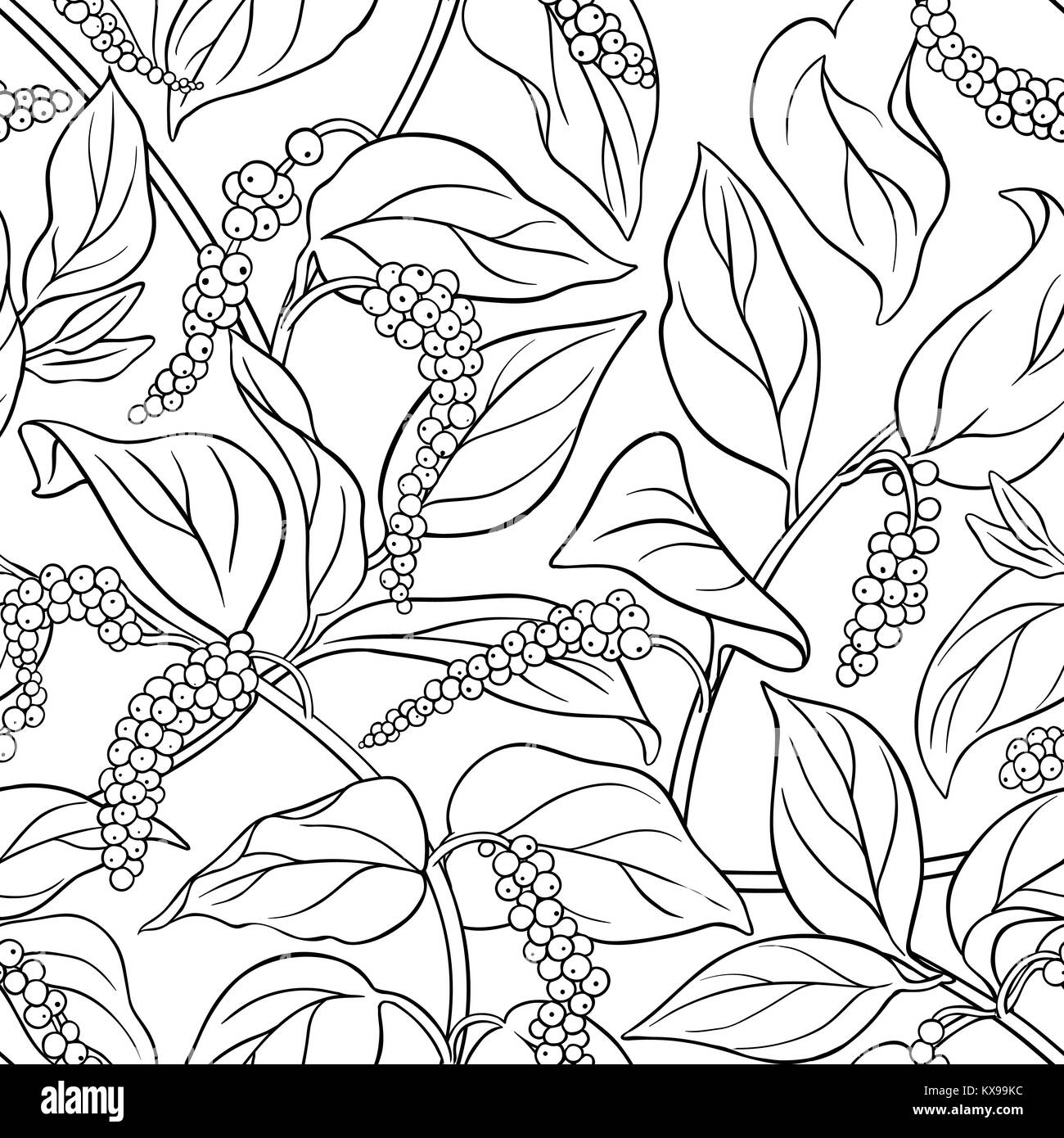 Black white cartoon illustration pepper Black and White Stock Photos