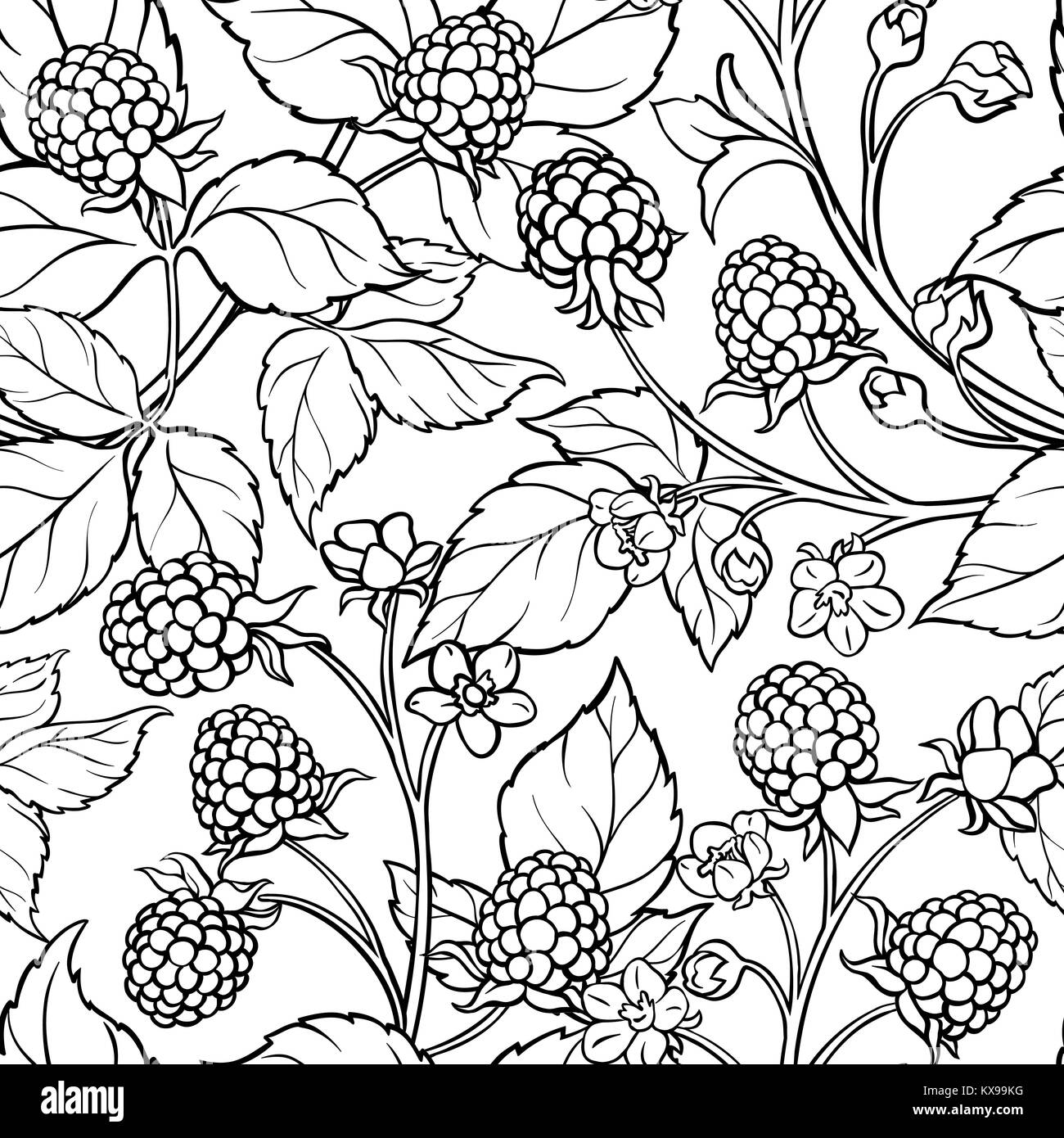 blackberry branches seamless pattern on white background Stock Vector ...