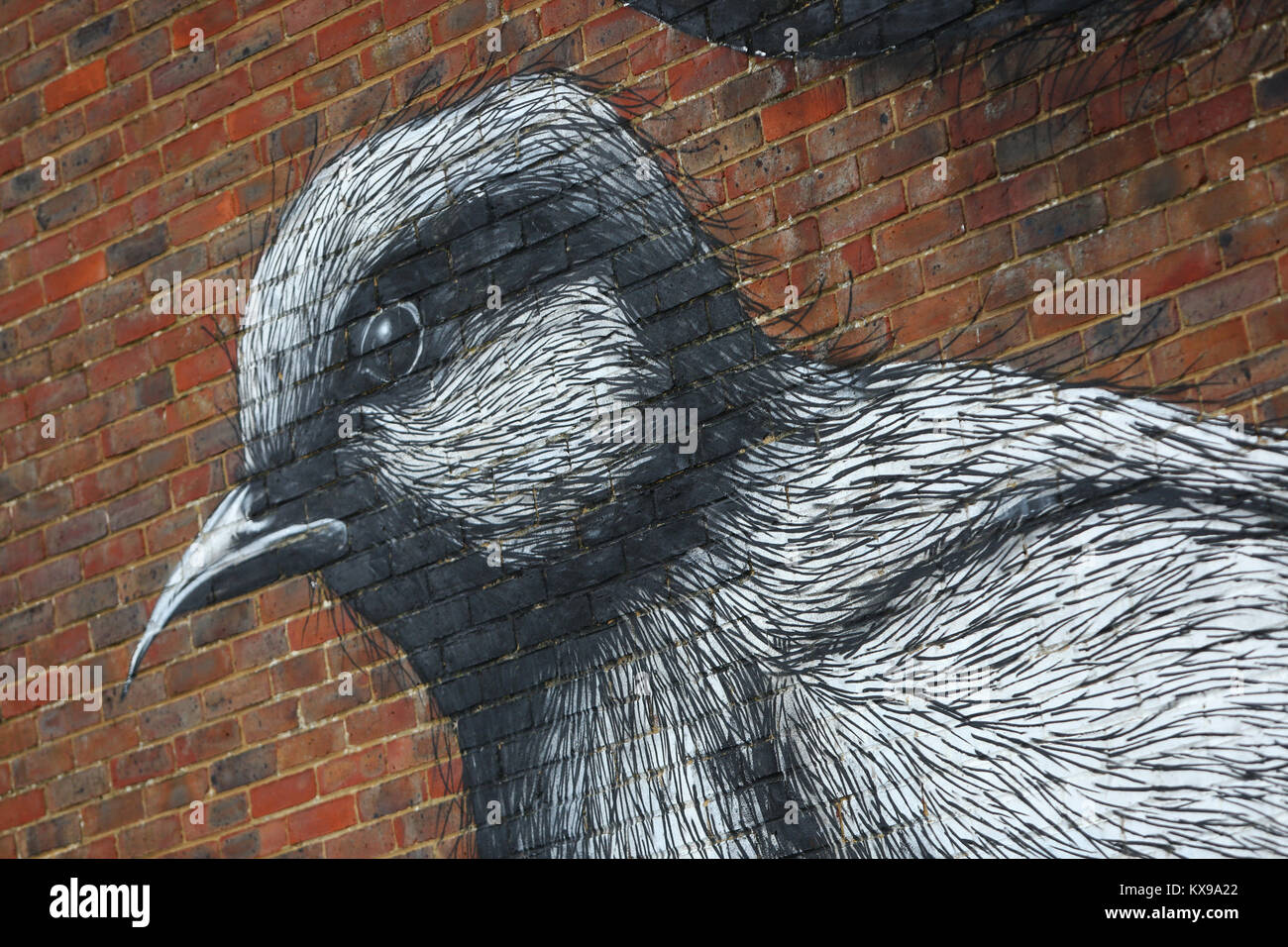 A bird painted onto the side of a wall in Chichester, West Sussex, UK. Stock Photo