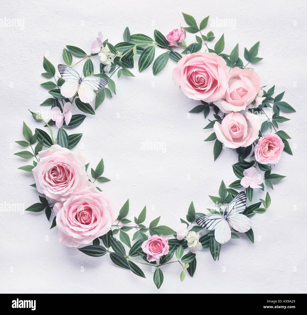 Flat lay pink rose flowers round frame Stock Photo