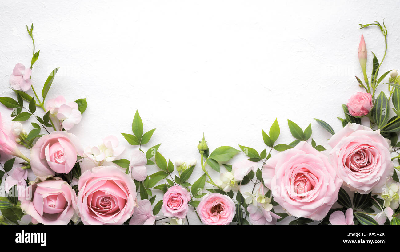 Flat lay rose flower with leaves frame Stock Photo
