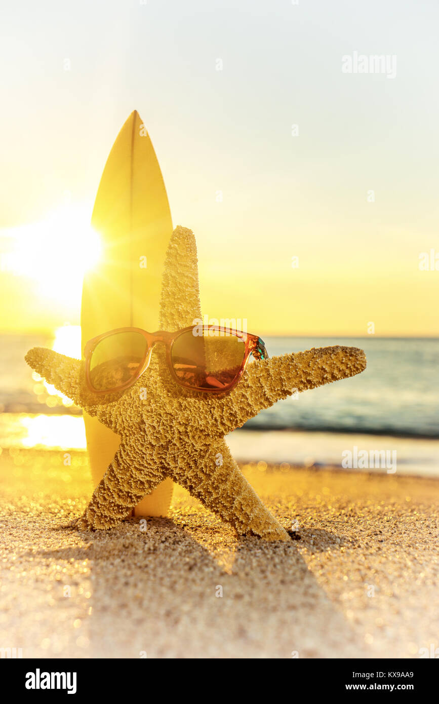 Starfish on the Beach with surfboard and sunglasses Stock Photo - Alamy