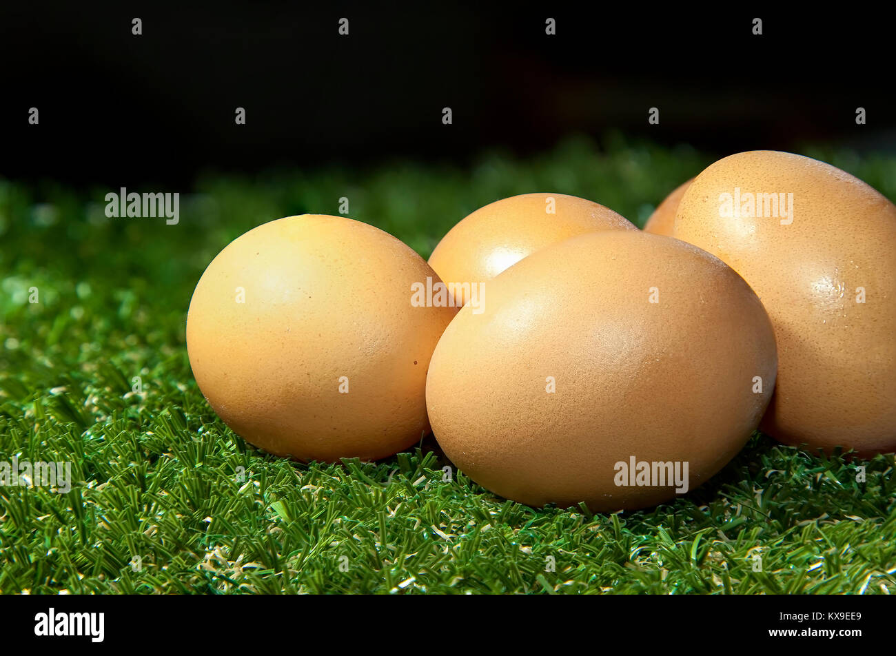 Fresh Organic Eggs grouped on Fresh green grass. Close-up. Stock Photo. Stock Photo