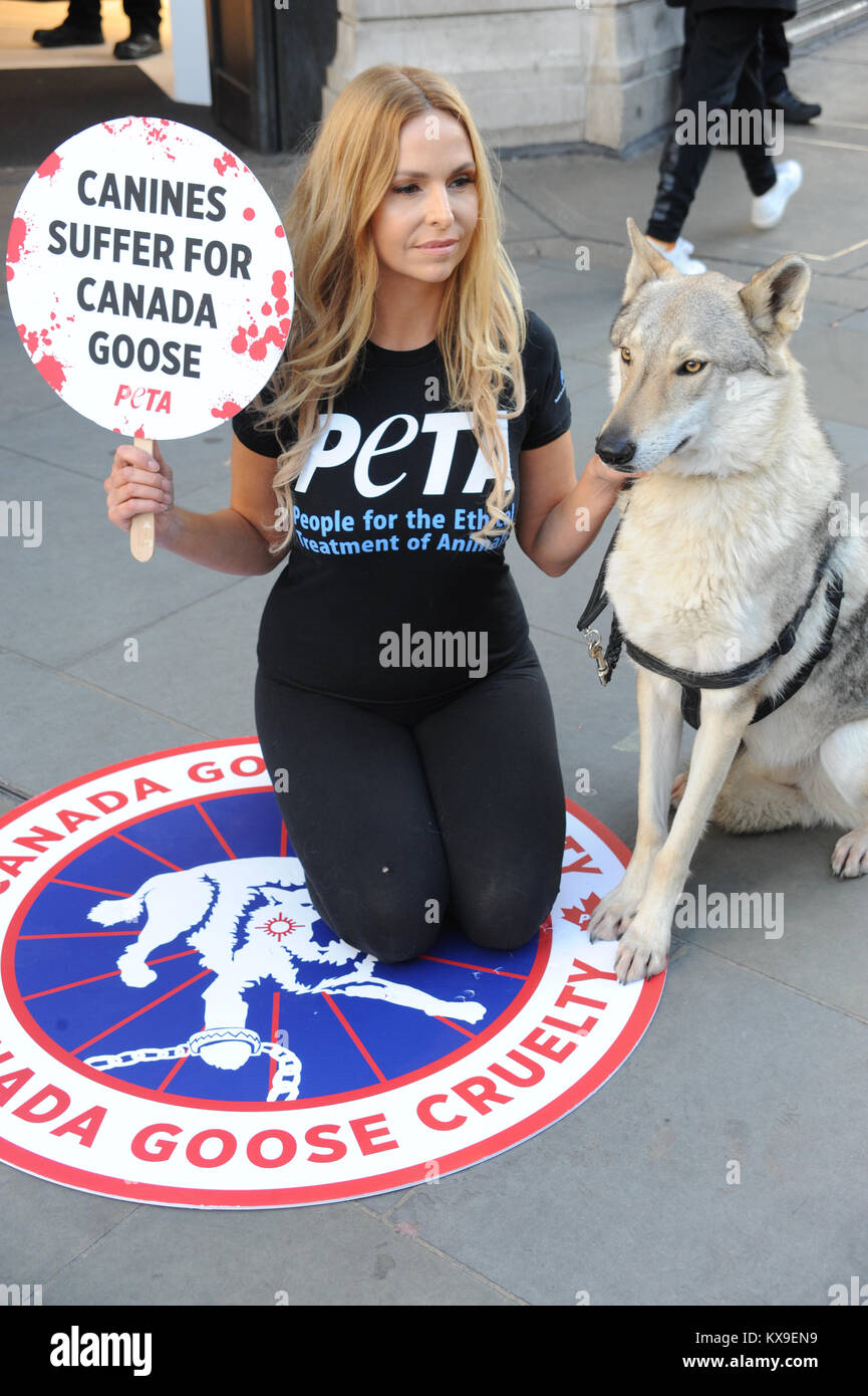 Anneka Svenska, and her canine companion Will, join the PETA campaign to  end trapping and killing of coyotes for fur-trimmed coats, protesting  outside the Canada Goose store on Regent Street, London. Featuring: