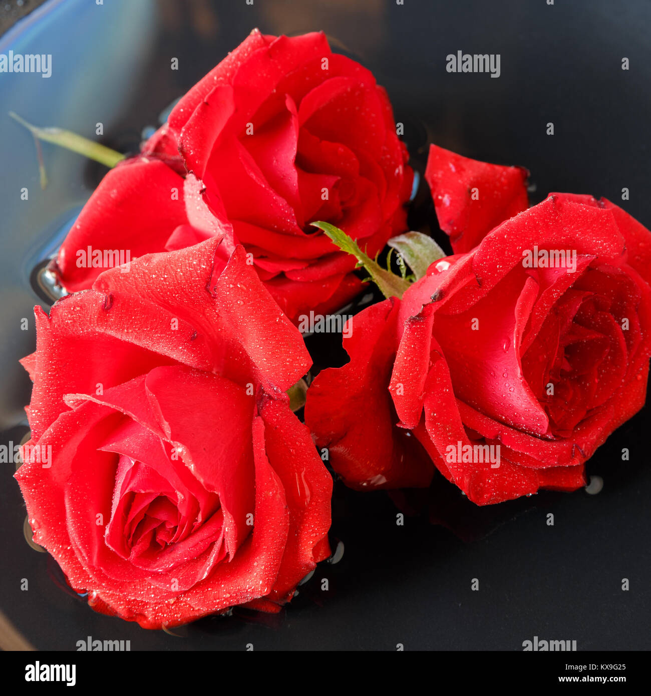 Three Red Roses On A Black Background In Water Birthday Mother S Stock Photo Alamy