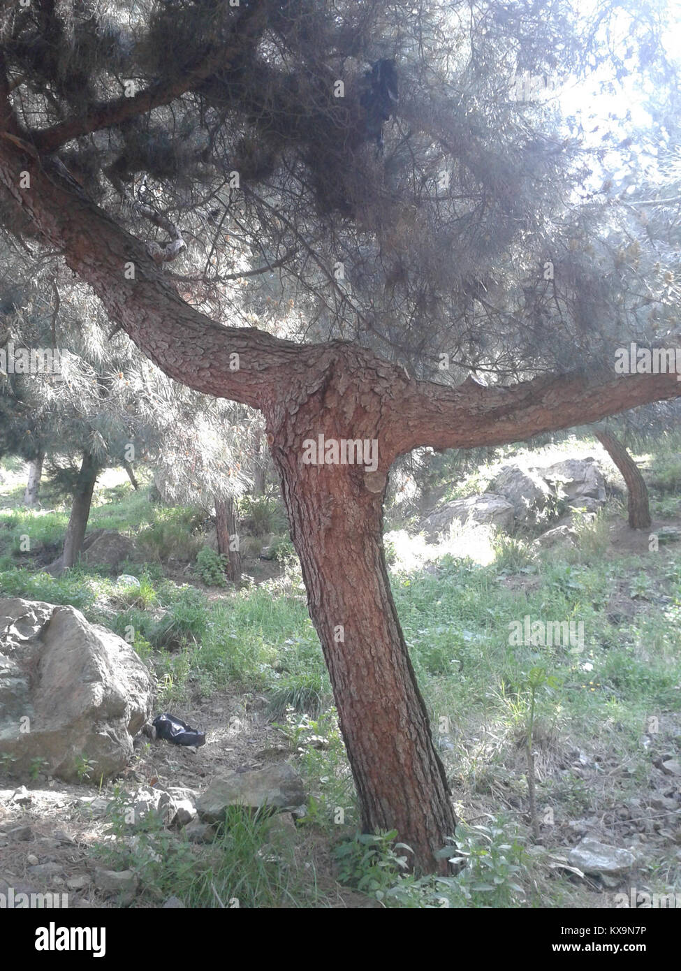 Ağlayan Kaya - 01 Stock Photo
