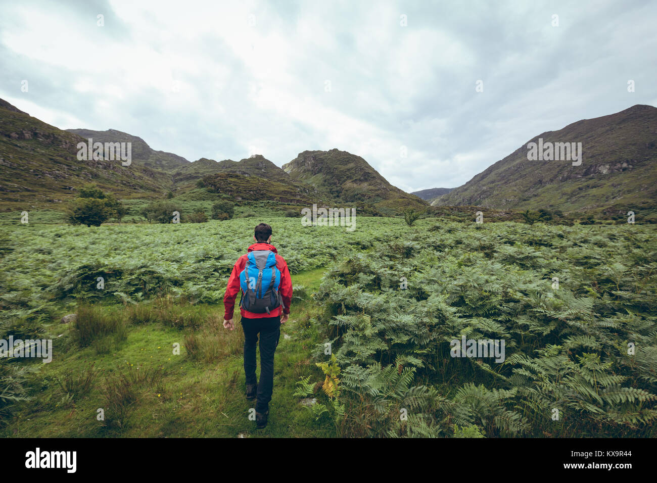 Man walking male hiker hi-res stock photography and images - Alamy