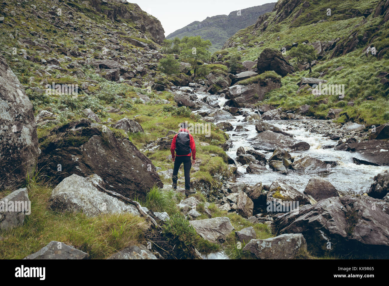 Male hiker walking near the flowing stream Stock Photo - Alamy