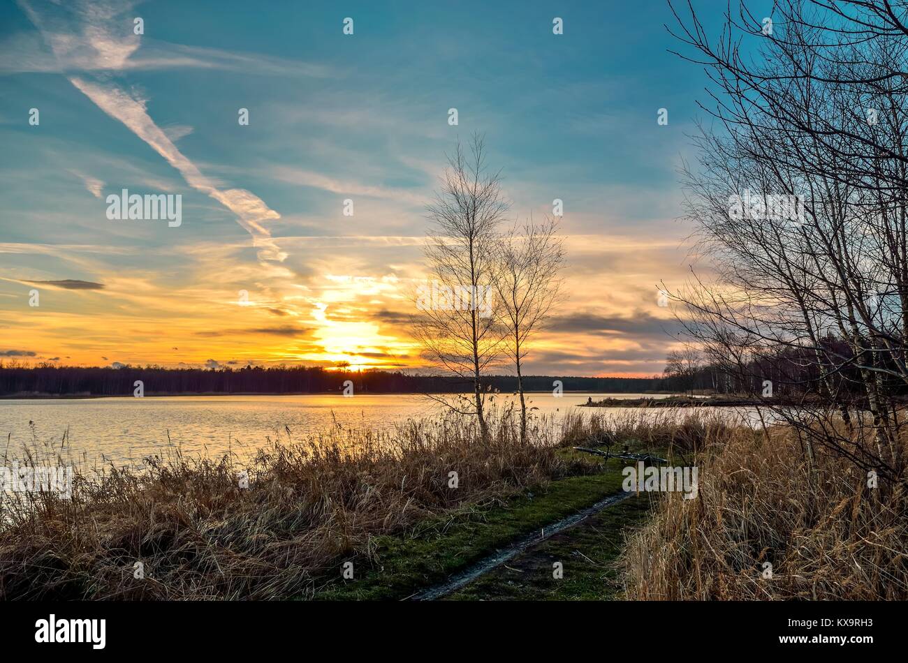 Beautiful sunset landscape. Trees on the shore of the lake with a ...