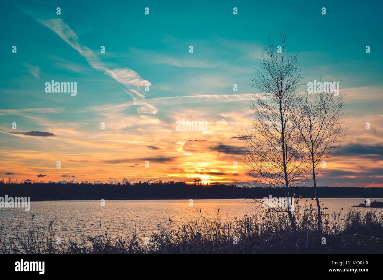 Beautiful sunset landscape. Trees on the shore of the lake with a ...
