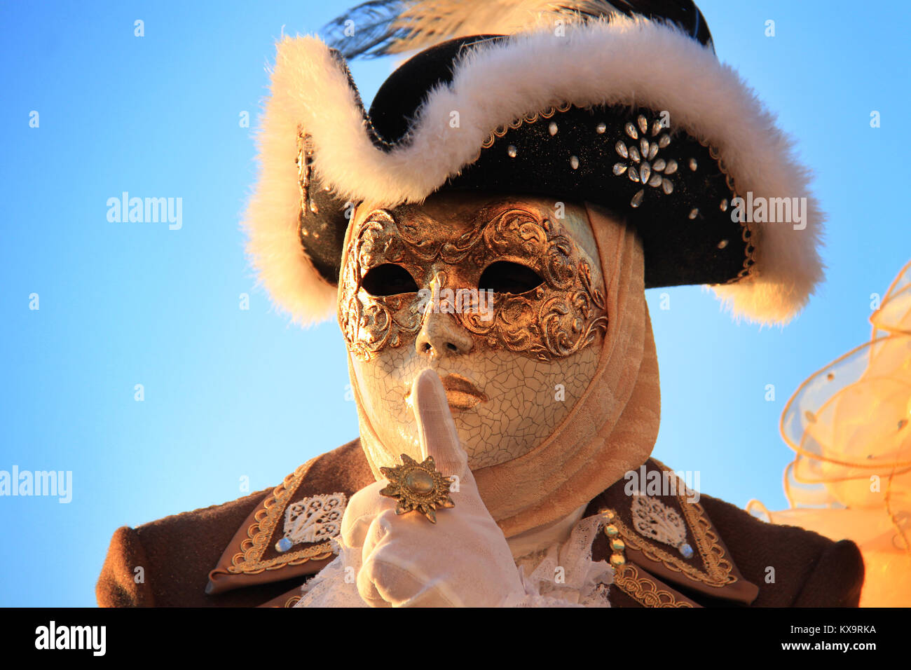 Venice carnival costume and mask Stock Photo - Alamy