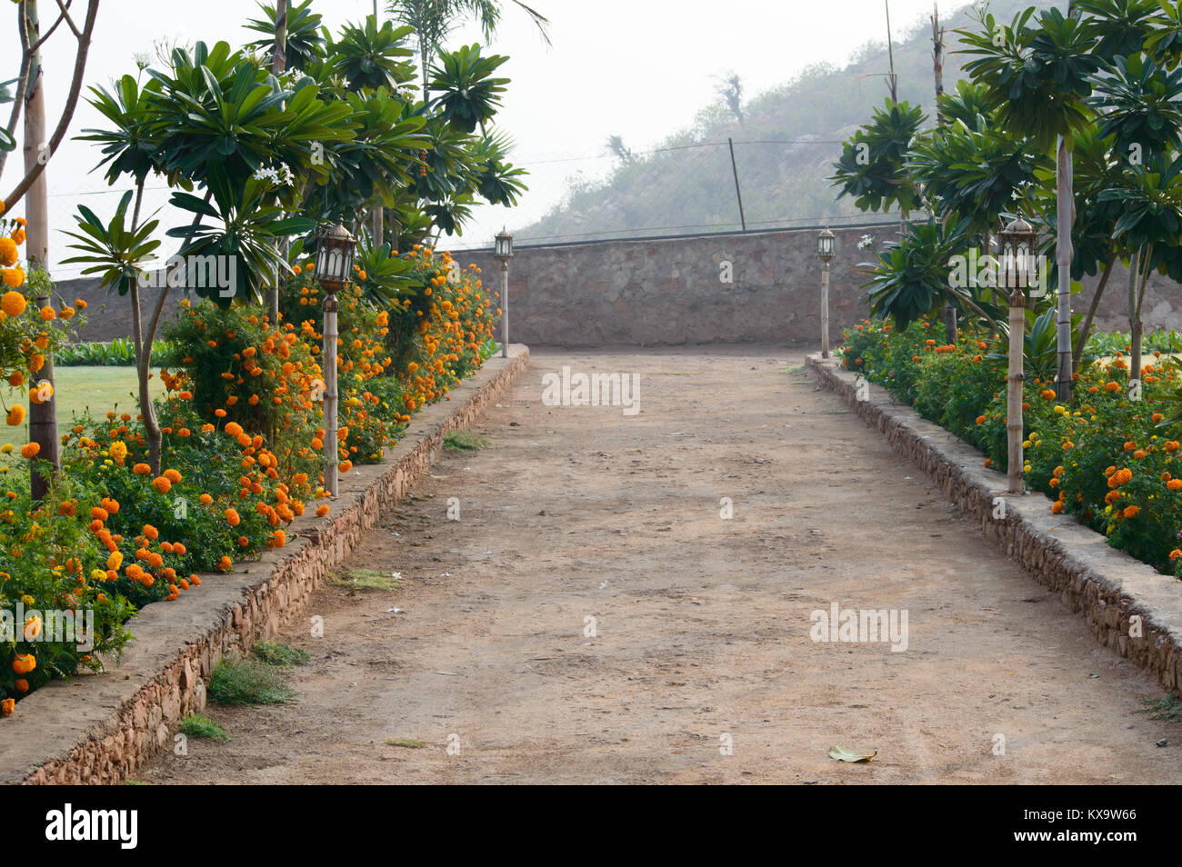 Entrance through the garden Stock Photo - Alamy