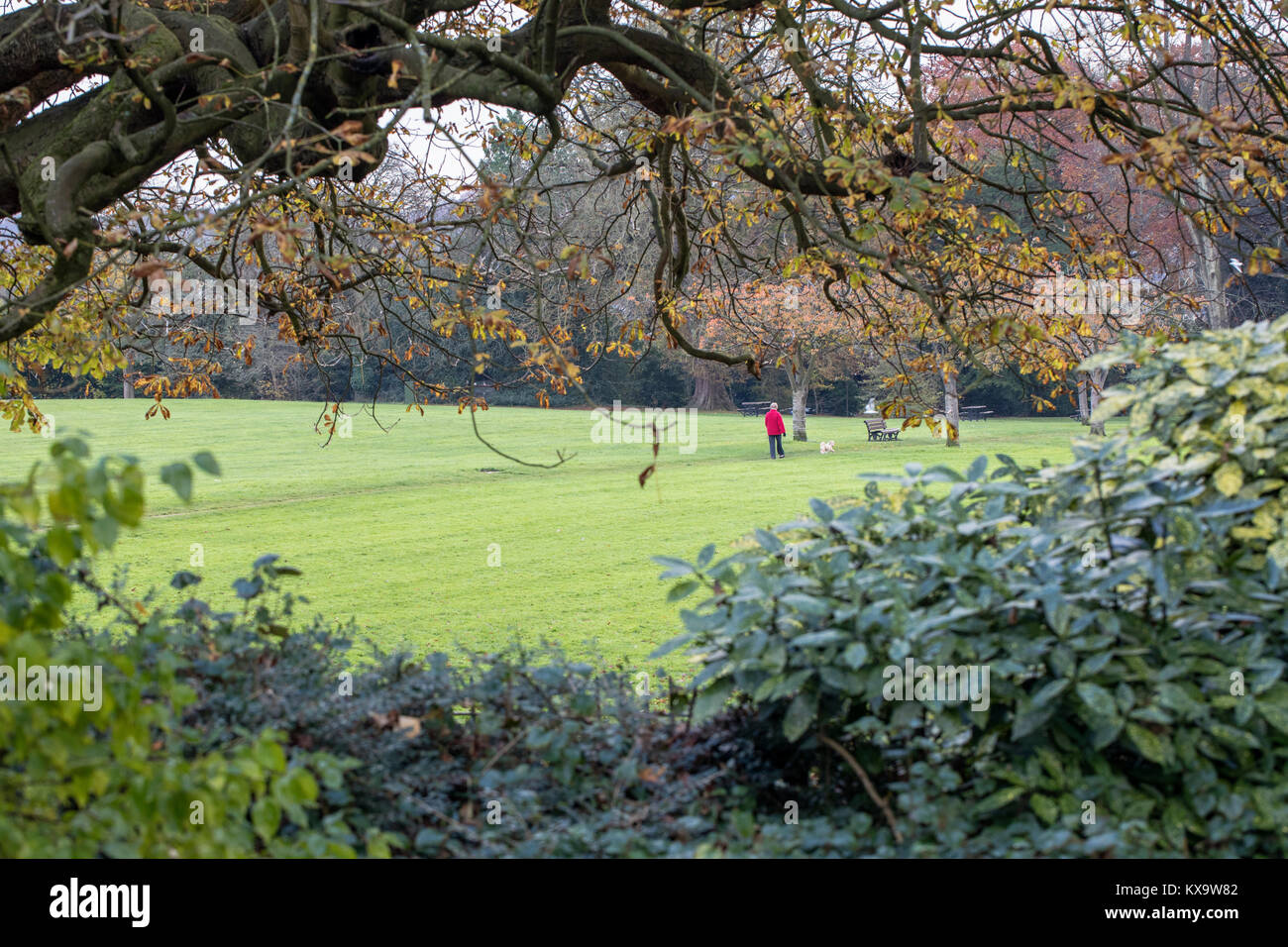 A women walking her dog in The Royal Victoria Park, Bath, England, UK