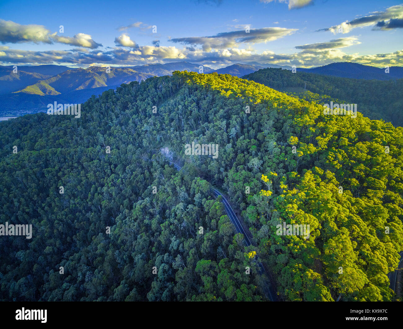 Aerial view of rural road winding through native Australian forest and ...